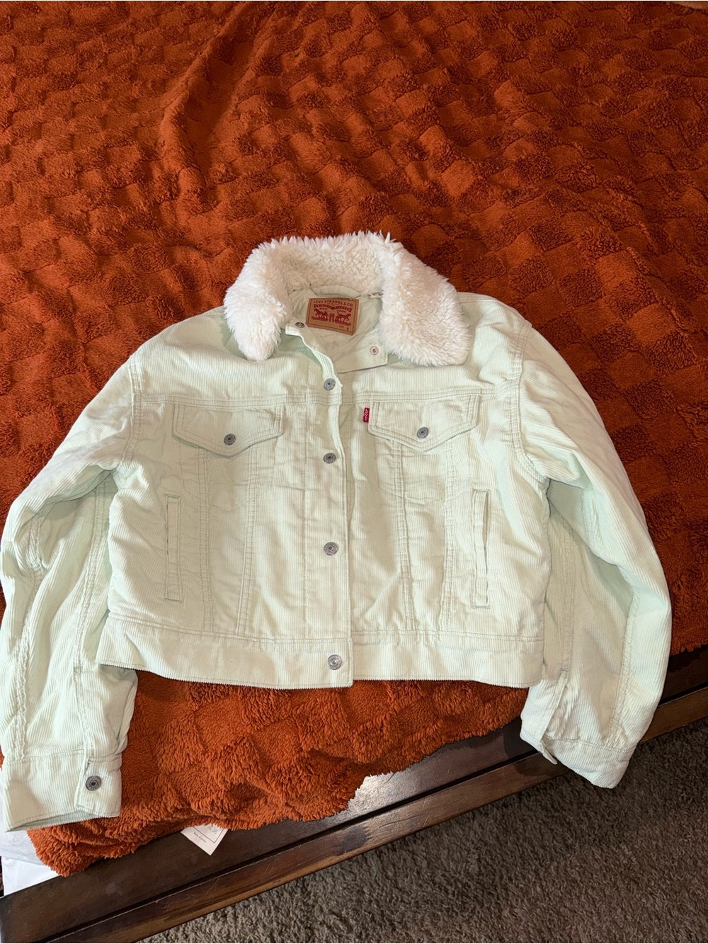 Levi's Light Mint Sherpa-Lined Denim Trucker Jacket